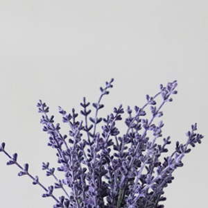 Aromaterapötik